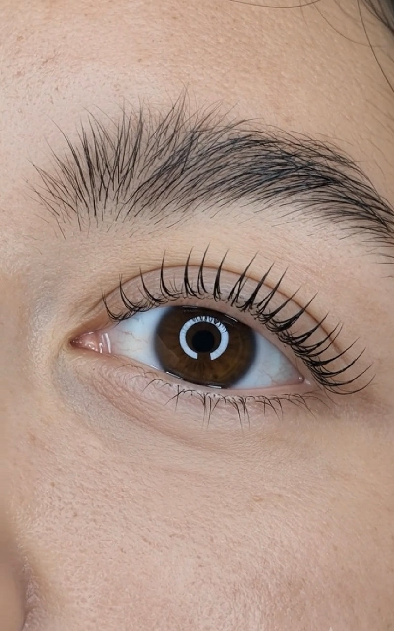 Lash Lift + Tint